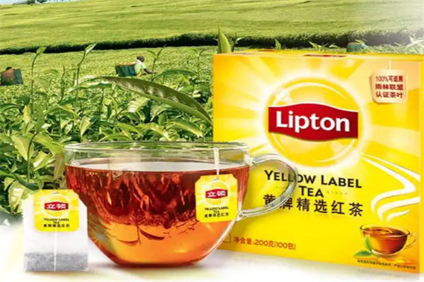红茶排名前十名品牌：天之红上榜，立顿问鼎冠军 第1张