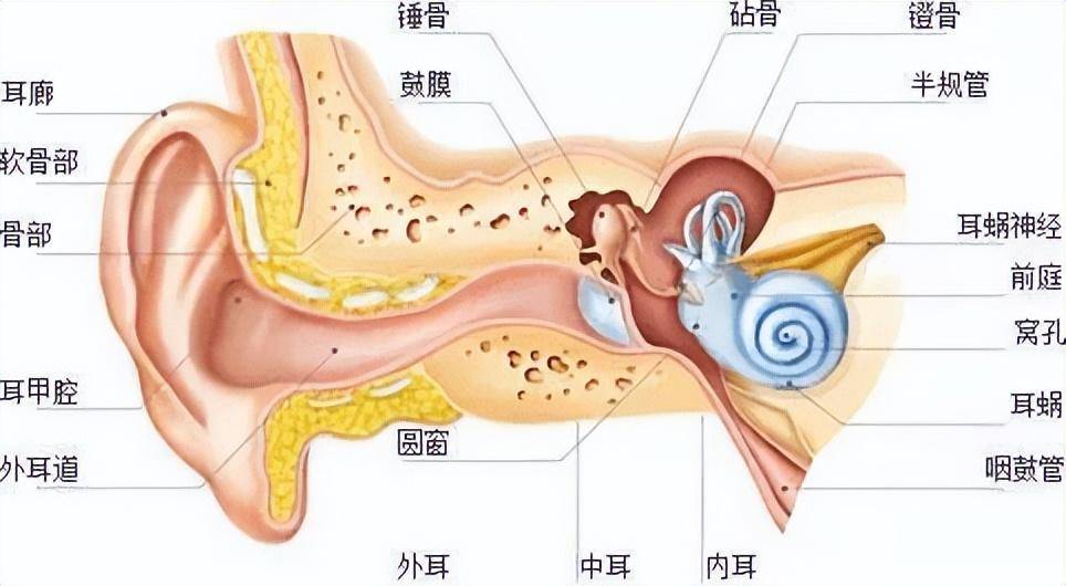 6be19a3add594a4381beb66a0105d620noop.image_ 第1张