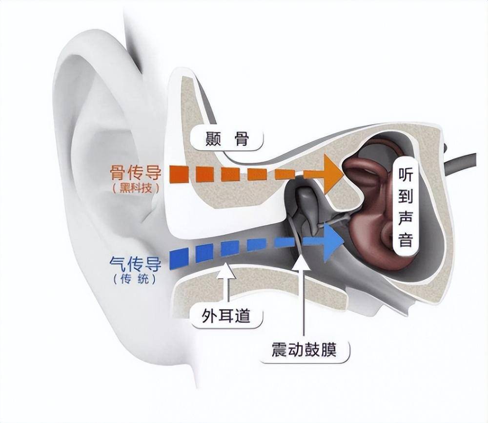 b8879b46e986457cb9d042e10798095cnoop.image_ 第3张