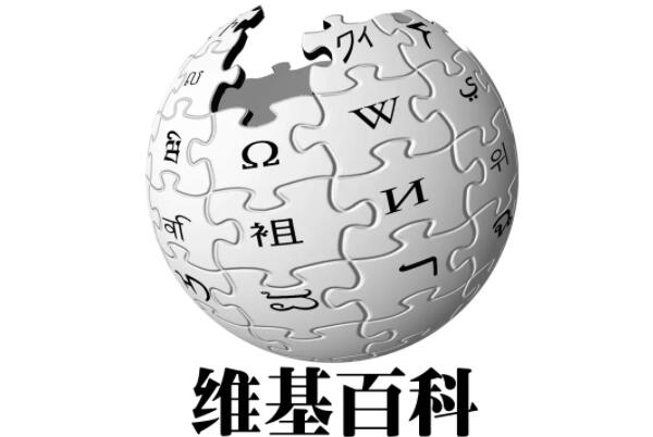 国外知名网站排行前十：维基百科上榜，第一是谷歌 第13张