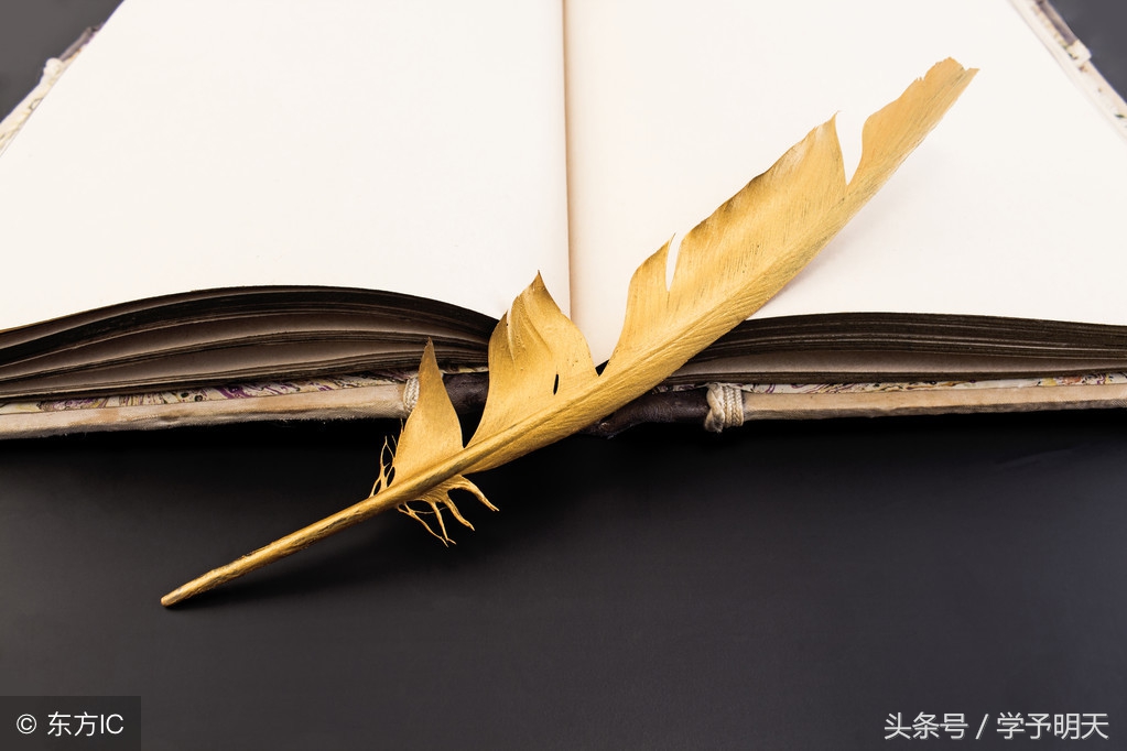 竹石古诗带拼音版图片（拼音版竹石赏析及释义） 第5张