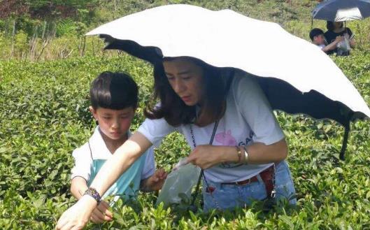 ​跟孩子一起亲子游 家长们一定要做好的功课 第5张