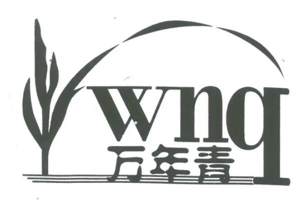 跑步机品牌排行前十名：亿健第二，舒华夺冠 第11张