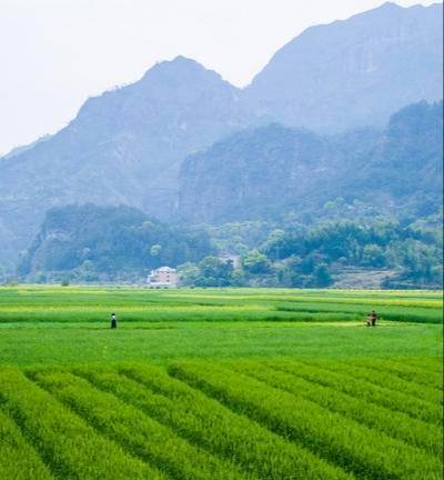 6e460c836d2e43bda04202b65821b9f9noop.image_ 第1张