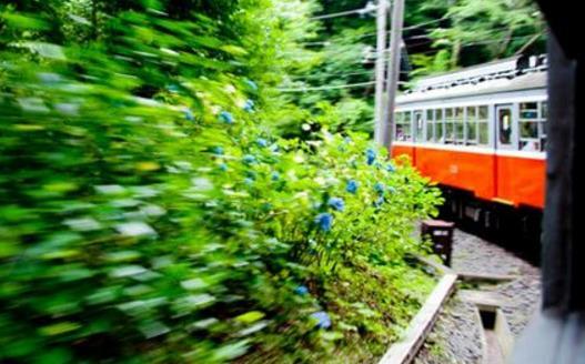 出境旅游的自我保护 避免卷入不必要的麻烦 第1张