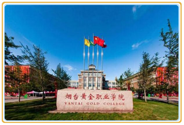 山东省前十名专科大学排名：菏泽职业学院上榜 第3张