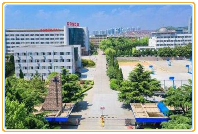 山东省前十名专科大学排名：菏泽职业学院上榜 第7张