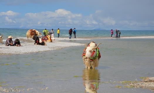 去西藏旅游 高原反应头疼的应对方法 第1张