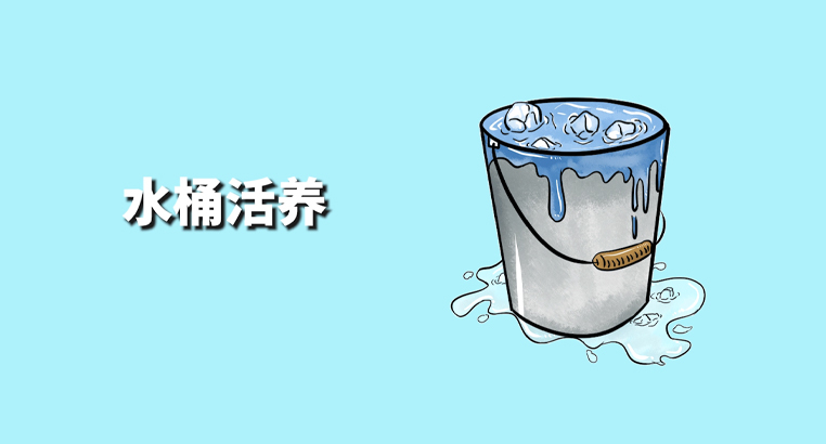 大闸蟹怎么存放 大闸蟹怎么保存才新鲜 第1张