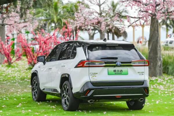 紧凑型suv排名前十名：哈弗H6获得第一名 第19张