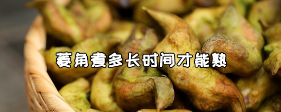 菱角什么季节成熟 菱角煮多长时间才能熟 第1张
