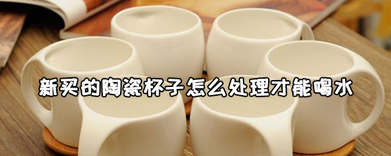 新买的陶瓷杯子怎么处理才能喝水 陶瓷杯子怎么清洗干净 第1张