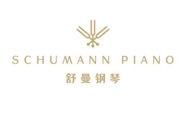 中国十大顶级钢琴品牌，珠江钢琴排在第一名 第13张