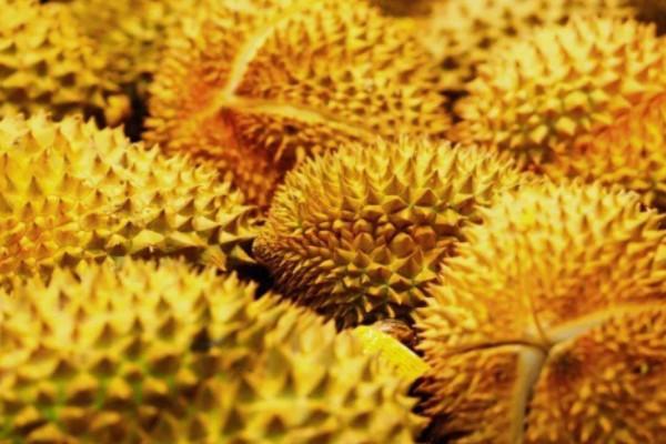 减肥不宜吃的6种水果排名：榴莲和桂圆排前两名 第1张