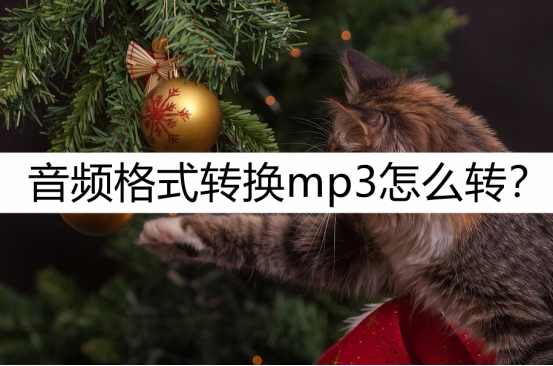 7998fb60694343d99bcafa7c34b74a39noop.image_-2 第1张