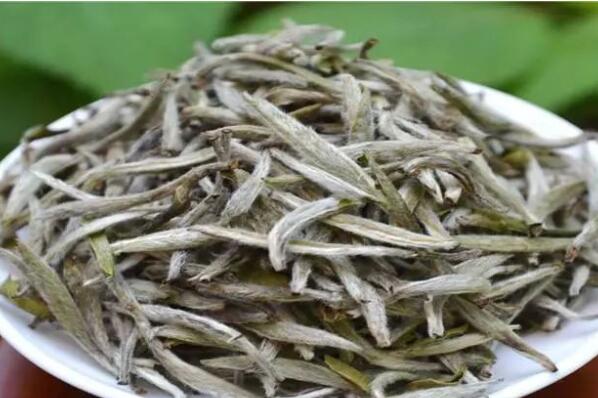 福建十大有名的茶叶，安溪铁观音占据榜首 第7张