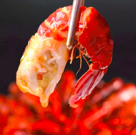 1521857817768b1cdffceeanoop.image_ 第7张