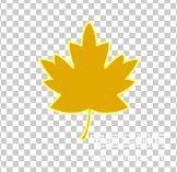 动态图像文件格式有什么（图片文件格式大全） 第13张