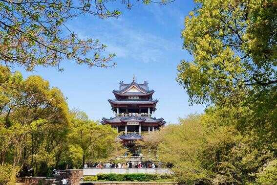 尼康单反摄影技巧分享（纯干货） 第3张
