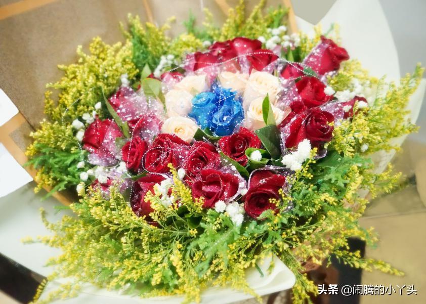 黄莺草的花语是什么（关于黄莺草的象征寓意解读） 第13张