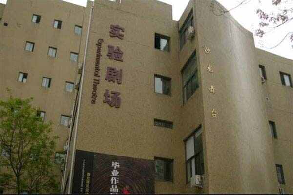 全国排名前十的艺术院校：中央美院第一 第17张