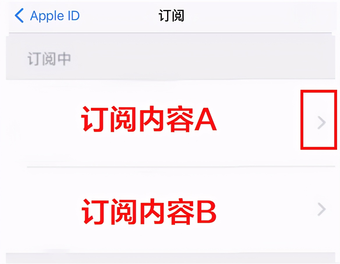 苹果手机取消订阅自动扣费，只需要五个步骤 第9张