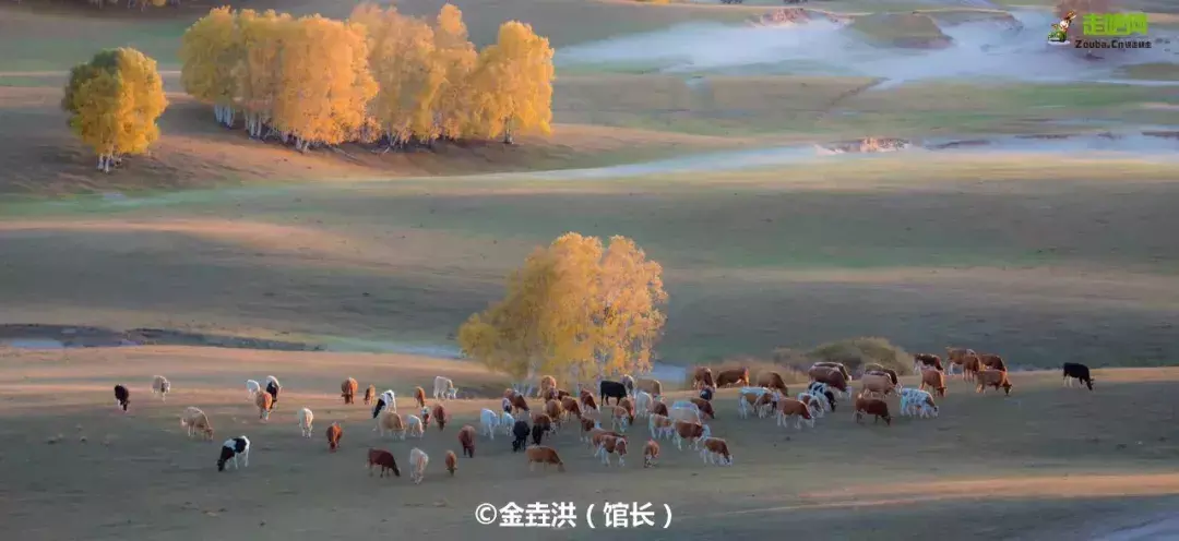 北京周边自驾游去哪里好玩（北京周边9处最美景点推荐） 第23张