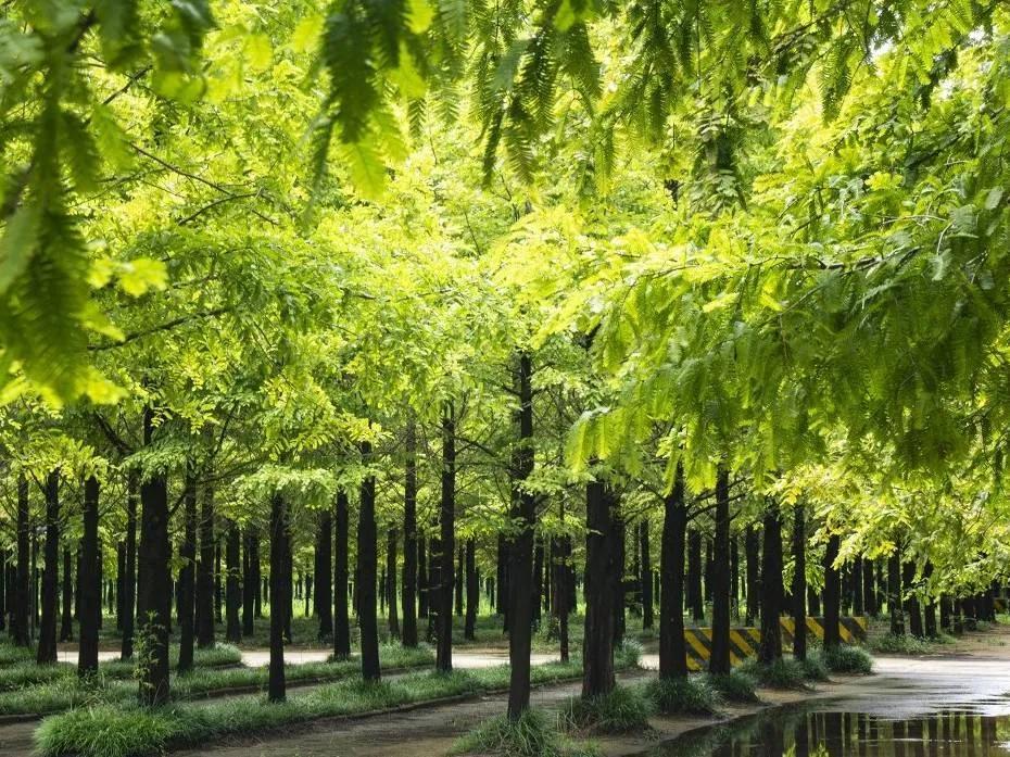 日照旅游景点哪里好玩（日照值得推荐的十二个景点） 第19张
