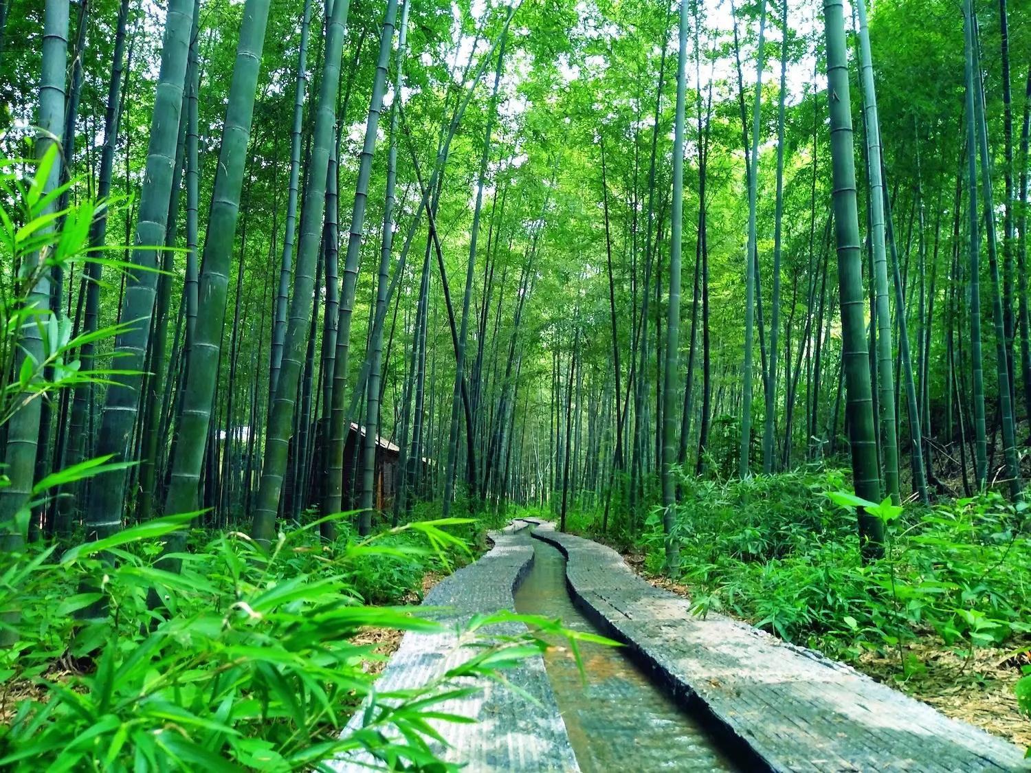 日照旅游景点哪里好玩（日照值得推荐的十二个景点） 第23张