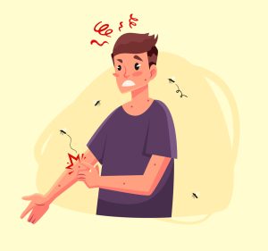 被蚊虫叮咬后,巧用三种方法科学止痒 第1张