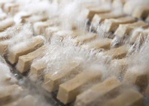 豆腐被水煮了之后不会变质吗，豆腐保存方法有什么 第1张