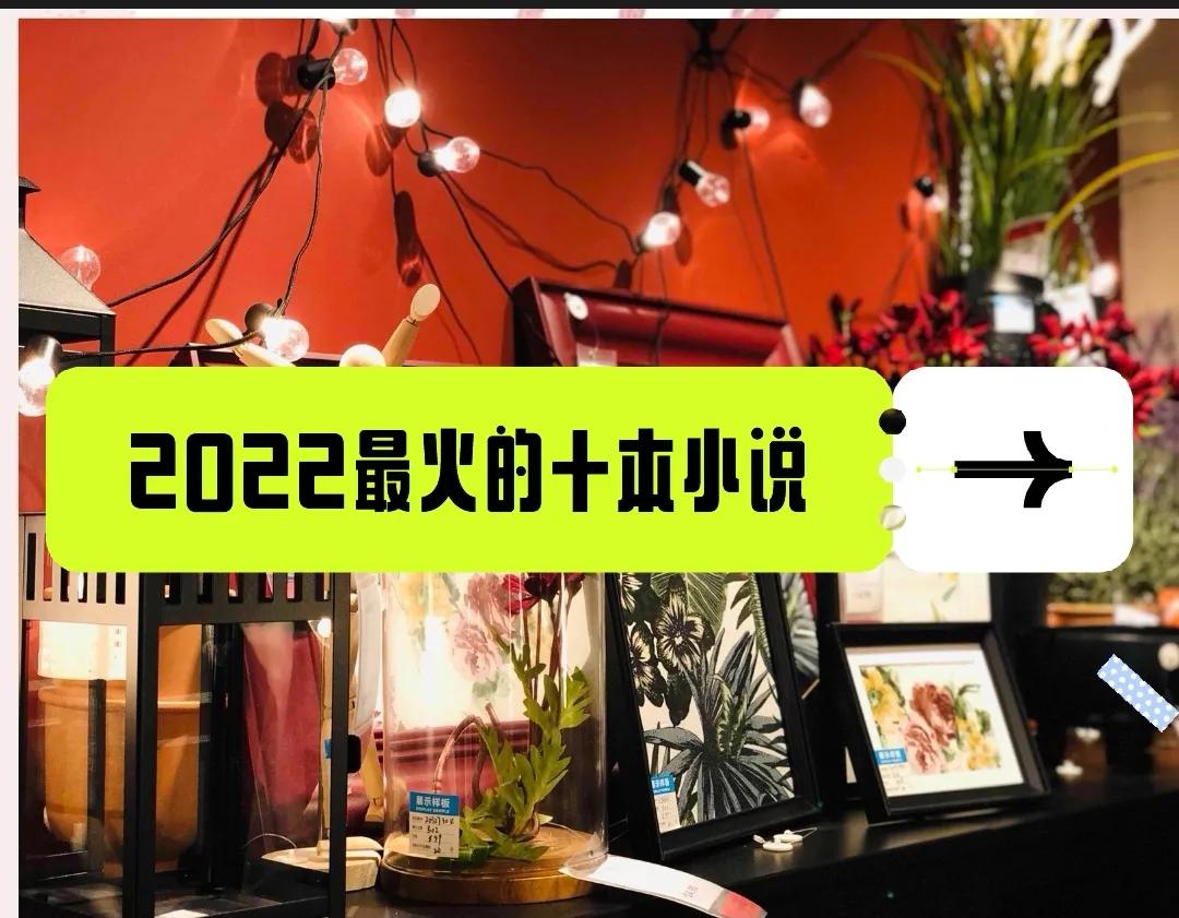 盘点2022年最火的十本小说，老鹰、番茄上榜，本本经典，杜绝书荒 第1张