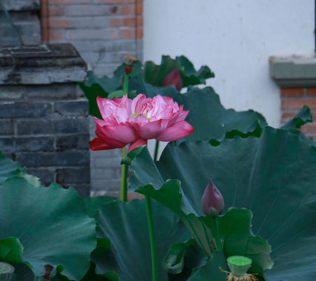 宁波有什么好玩的地方旅游景点（宁波自驾游必去的十大景点） 第15张