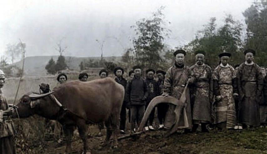 红薯是什么时候传入中国（一广州生意人偷带红薯回国） 第1张