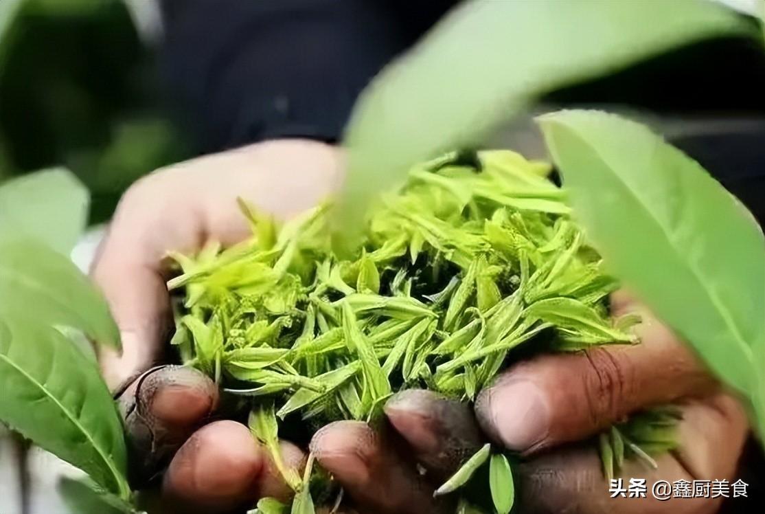 什么茶叶最好喝排行榜（10款价格便宜口感香醇的茶叶） 第19张