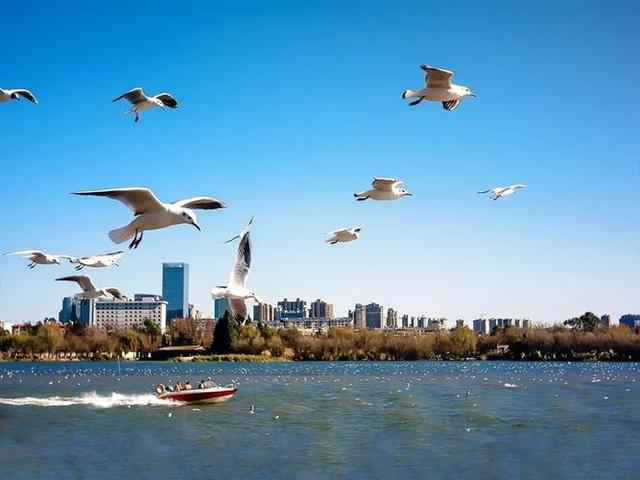2022中国十佳宜居城市：长沙居第一，有你的家乡吗？ 第3张