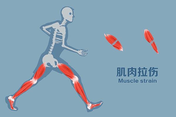 早上跑步好还是晚上跑步好（晨跑和夜跑哪种更健康） 第7张