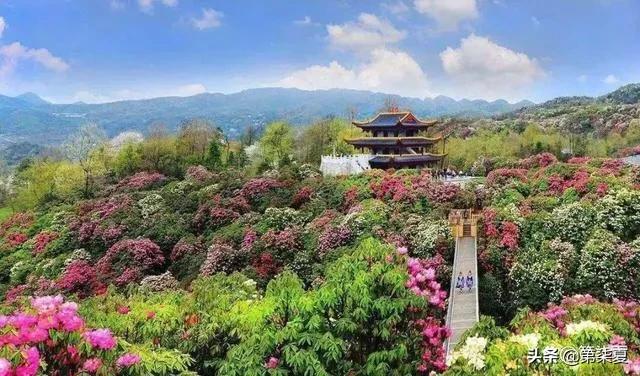 贵州气候温暖湿润属于什么类型（最值得去的十个地方） 第19张