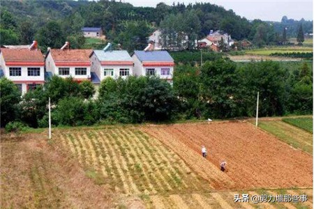 解读一亩等于多少平方米？一亩三分地指什么？ 第1张