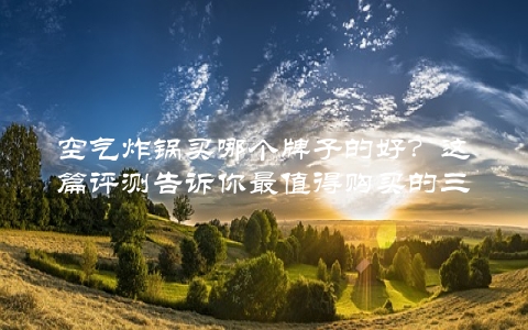 空气炸锅买哪个牌子的好？这篇评测告诉你最值得购买的三款 第1张