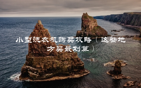 小型洗衣机购买攻略（这些地方买最划算） 第1张