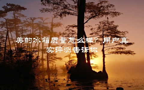 美的冰箱质量怎么样？用户真实评测告诉你 第1张