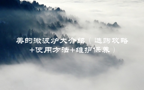 美的微波炉大介绍（选购攻略+使用方法+维护保养） 第1张