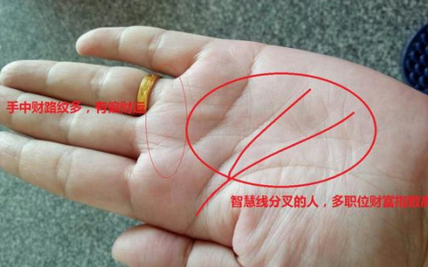 手相怎么看？图文解说，3分钟教你学会看手相