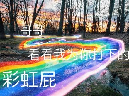 每日一词：彩虹屁 第3张
