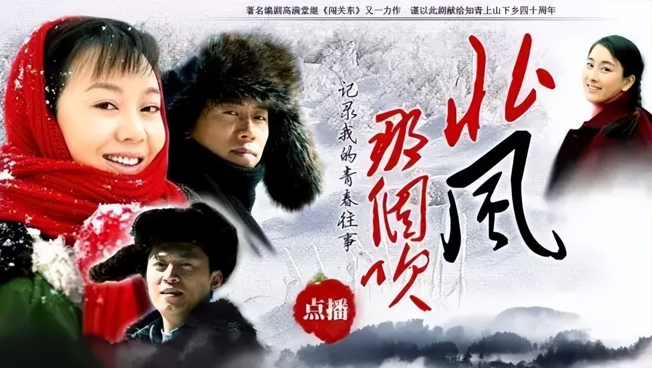 人气女演员闫妮，演过的最好看的四部电视剧 第9张