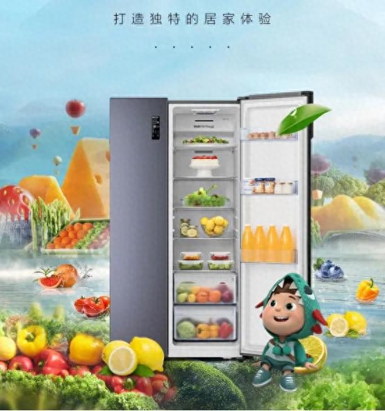 冰柜什么牌子好又省电质量又好（2023年最新冰柜排行榜出炉） 第5张