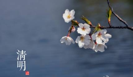清明节送礼能送什么礼物（清明节的礼物清单汇总） 第1张