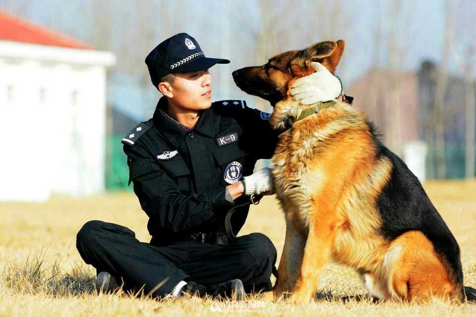 “最烧钱”的几种狗，没钱都不敢养，能养的都不是普通人 第23张