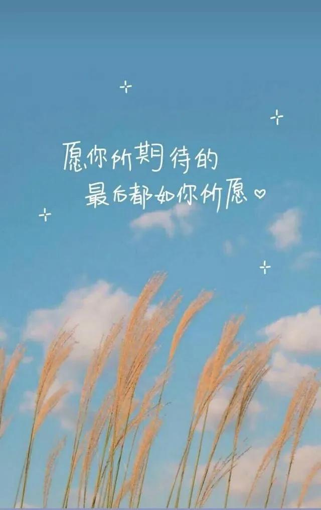 为什么有人说保险公司是骗子公司？ 第5张
